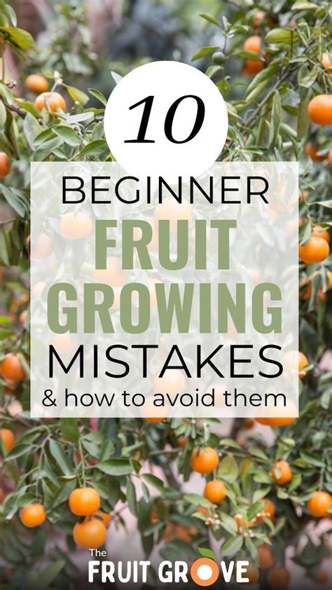 Common Pitfalls: What to AVOID When Using Fruit Printables