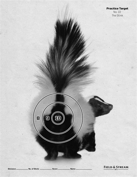 Common Pitfalls: What to AVOID When Using Funny Printable Targets