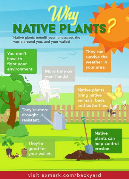 Common Pitfalls: What to AVOID When Using Native Plant Printables