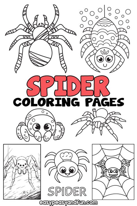 Common Pitfalls: What to AVOID When Using Printable Spider Coloring Pages
