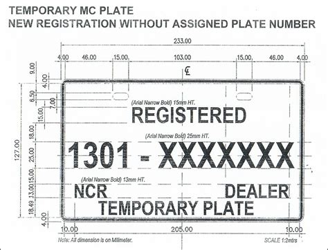 Common Pitfalls: What to AVOID When Using Printable Temporary Car Tags
