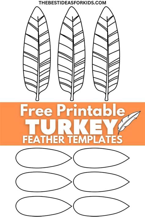 Common Pitfalls: What to AVOID When Using Printable Turkey Feathers