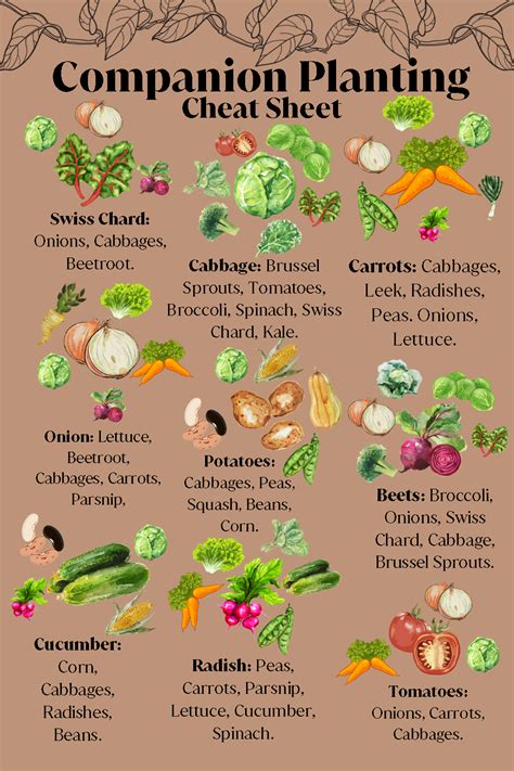 Companion Planting for Specific Garden Types