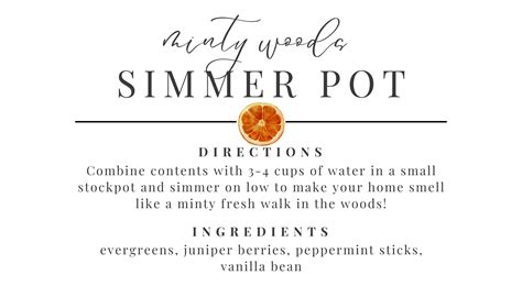 Crafting Your First Pot: Step-by-Step Simmer Pot Instructions for Beginners