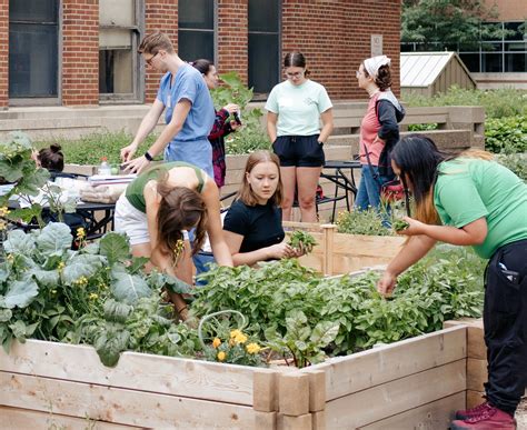 Cultivating Connection, One Printable at a Time