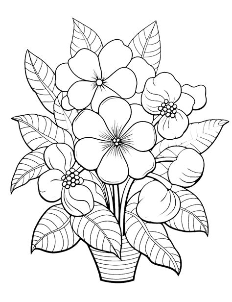 Cultivating Creativity: Using Flower Coloring Sheets for All Ages (Kids & Adults)