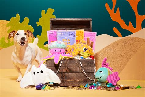 Decoding the Canvas: A Deep Dive into Paper Types, Weights, and Textures