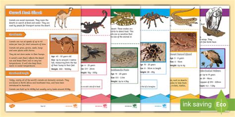π΅ Desert Animal Fact Sheets: Quick Learning Guides