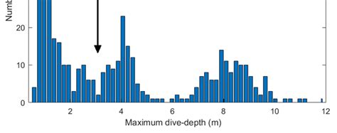 Detailed Deep Dives: When Every Boundary Counts