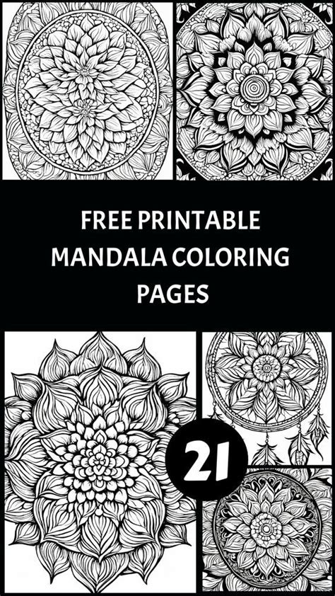 Detailed & Intricate Designs: For the Master Colorist!