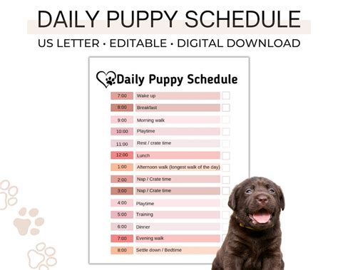 Discover Your Perfect Puppy Printable: Categories