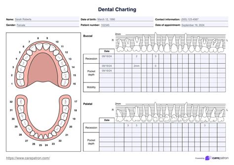 DIY Dental Charting: A Step-by-Step Guide for Home Use