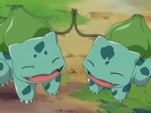 Dynamic Duo: Posing Your Bulbasaur with Personality