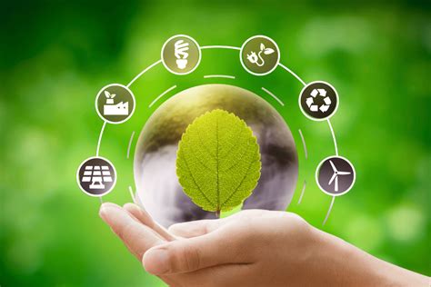 Eco-Friendly & Budget-Savvy Magic: Sustainable Ticket Ideas