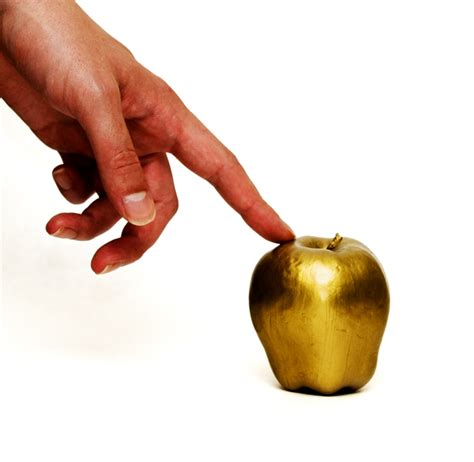Educational Adventures: Learning with a Golden Touch