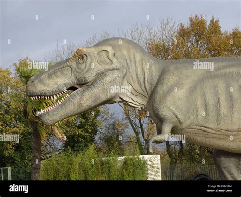 Educational & Anatomically Correct Dinos: Learning Through Art