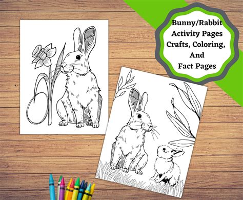 Educational Bunnies: Learn While You Color
