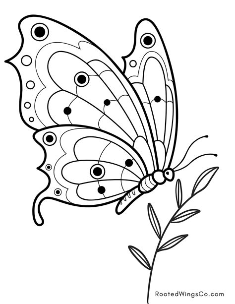Educational Butterfly Coloring Sheets: Learn While You Color