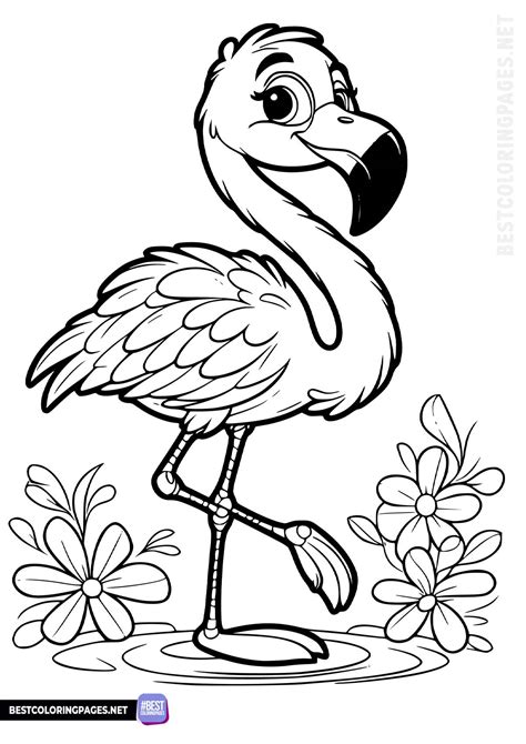 Educational Flamingo Pages: Learn While You Color