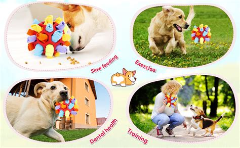 Educational & Interactive Dog Pages