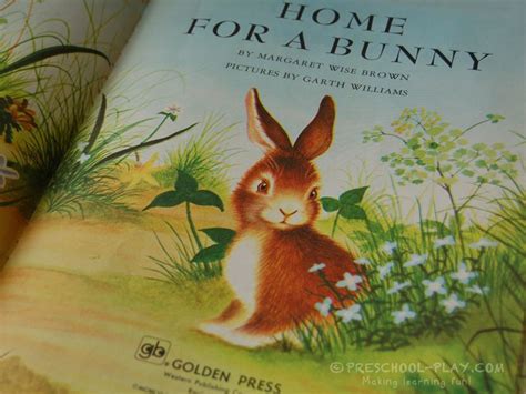 Educational & Learning Bunnies: Learning Through Play