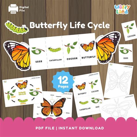 Educational & Learning-Focused Butterfly Pages