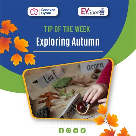 Educational & Learning Journeys: Growing Minds, Autumn Style