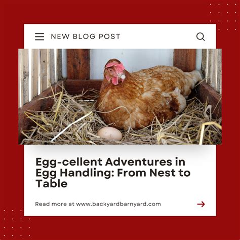 Egg-cellent Adventures: Games & Mazes