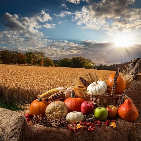Embracing the Harvest: Festive & Themed Designs