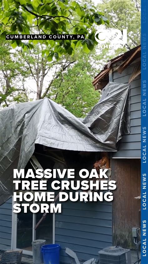 Emergency & On-the-Go Solutions: When You Need a Quick Measure, Fast