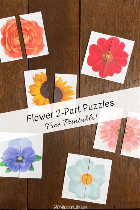 Family Fun, Advanced Edition: Collaborative & Multi-Part Puzzles