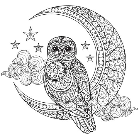 Fantastical Feathers: Mandala & Zentangle Owl Pages for Mindful Moments