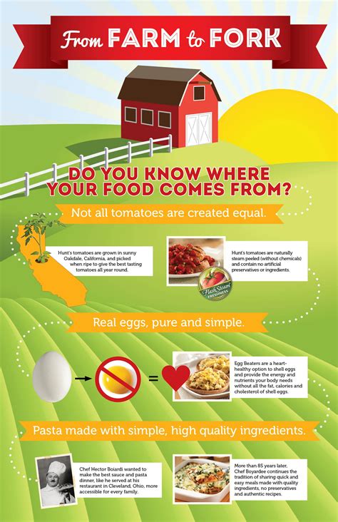 Farm to Fork Fun: Where Food Comes From