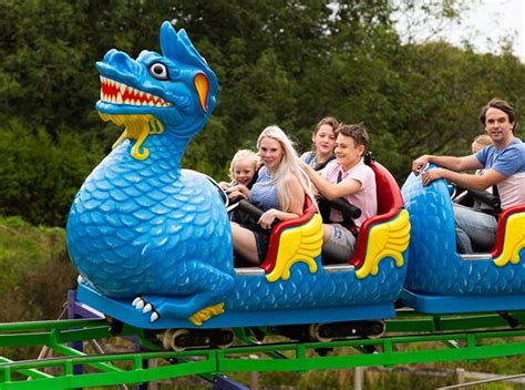 Feathered Friends & Challenging Quests: Activities for Older Kids & Teens