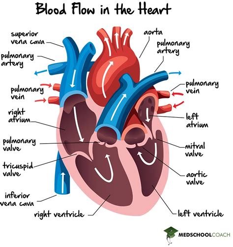 Find Your Heart's Content!