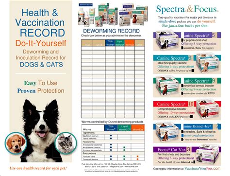 Finding Your Perfect Match: Navigating Diverse Free Printable Pet Vaccination Record Templates
