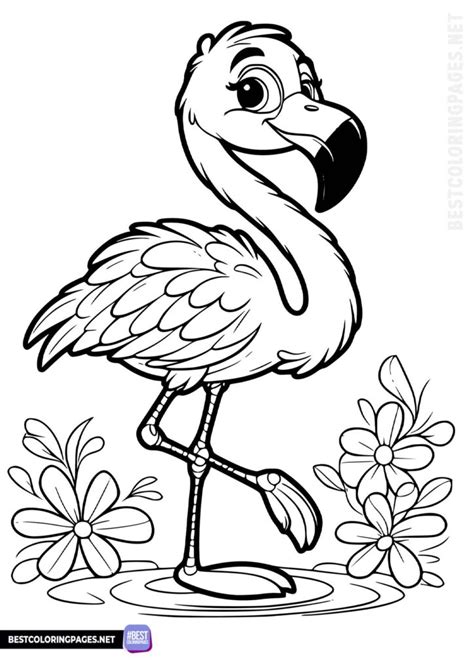Flamingo Coloring Pages for Special Occasions & Parties