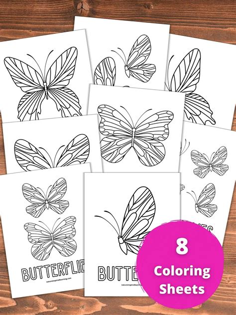 From Cocoon to Canvas: Finding the Best Sources for Butterfly Printable Coloring
