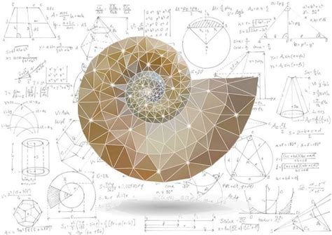 From Equations to Masterpieces: Graph Paper in Academia & Art