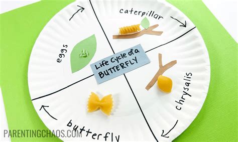 From Lifecycle to Craft: Educational Insect Printables