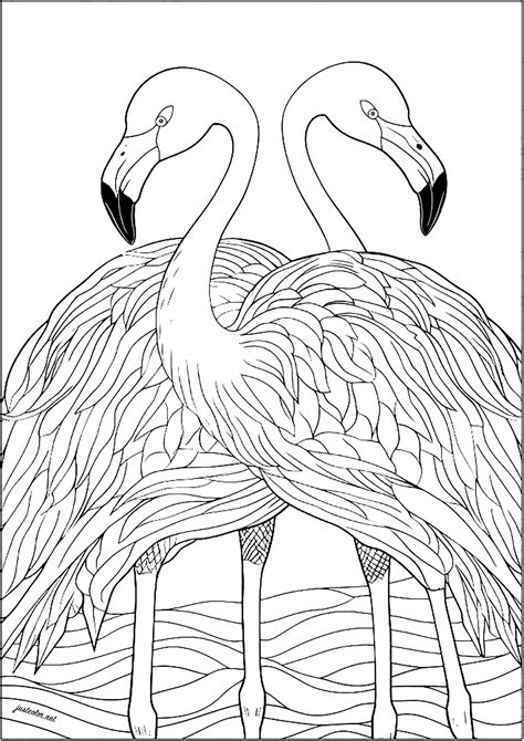 From Simple to Spectacular: Exploring Different Styles of Flamingo Coloring Pages