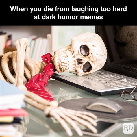 Funny & Whimsical: A Dose of High Humor