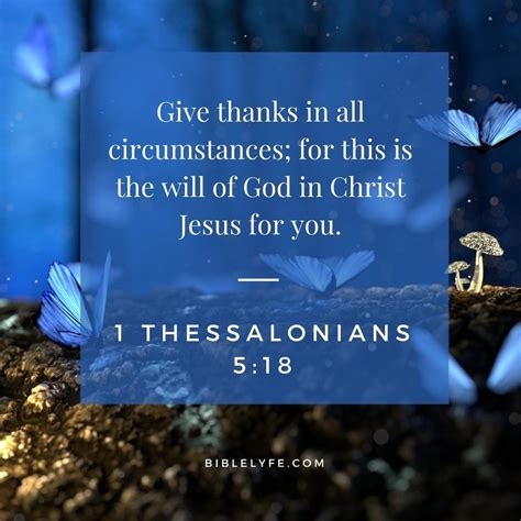 Gather Your Flock, Fill Your Feathers, and Give Thanks!