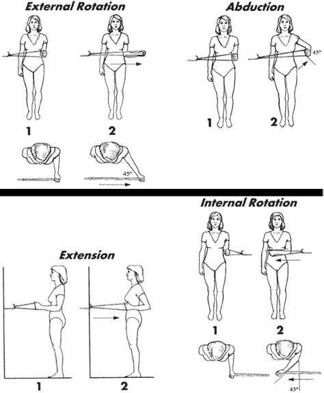Gentle Beginnings: Essential Printable Rotator Cuff Exercises for Recovery