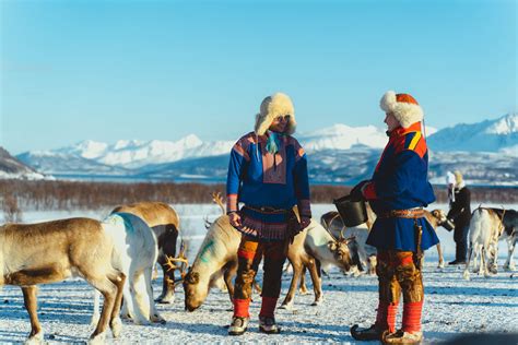 Global Reindeer: Cultural Interpretations & Folk Art Styles