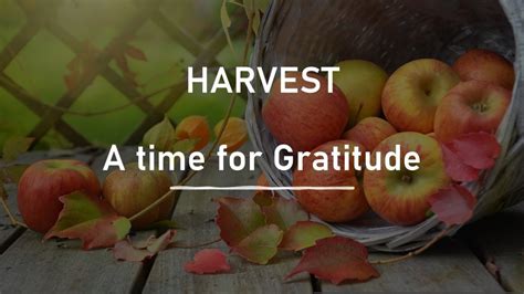 Gratitude & Harvest Gems: Reflective & Earthy