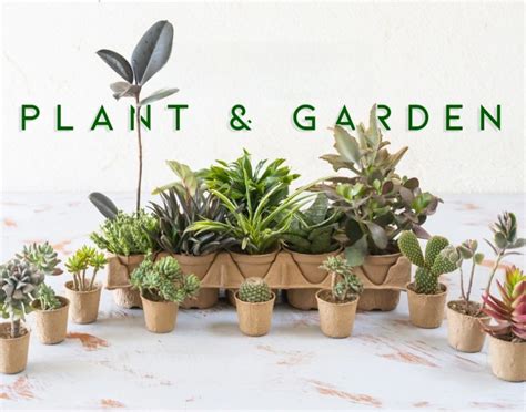 Grow Your Creativity, One Pot at a Time!