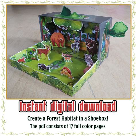 ποΈ Habitat Diorama Cut-Outs: Build Your Own Desert Scene
