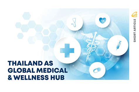 Health & Wellness Hub: Medication & Medical Checkpoints