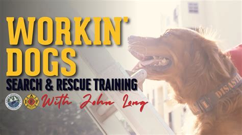 Hero Hounds: Working Dogs & Brave Pups